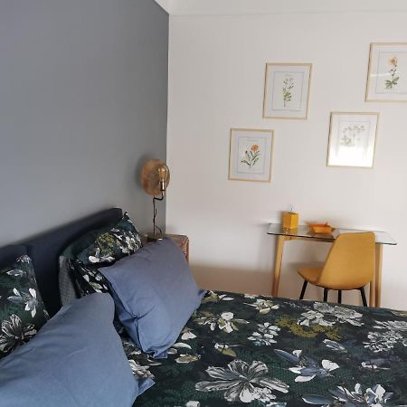 La Maison De Lucie - Grande Maison Ideale En Famille Ou Entre Amis - Jardin - Parking Gratuit 塞莱斯塔 外观 照片