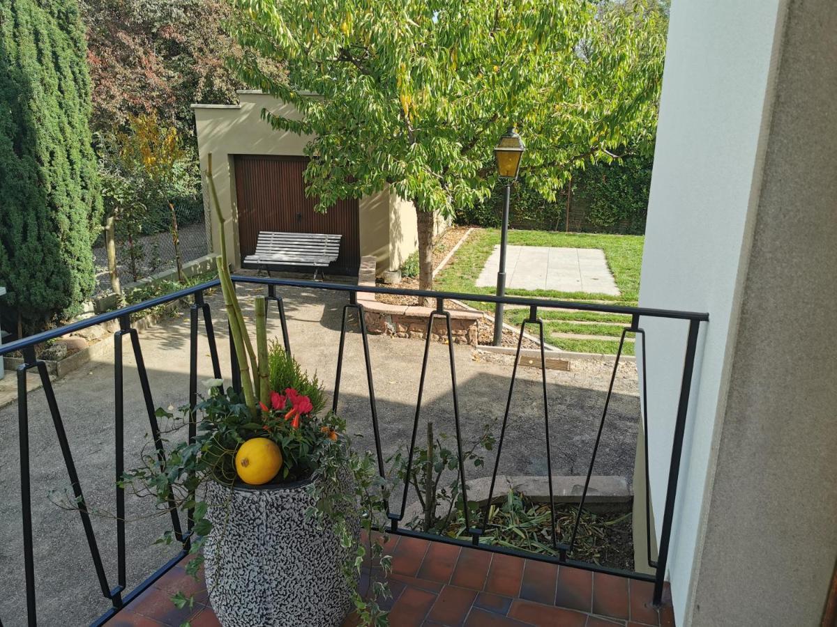 La Maison De Lucie - Grande Maison Ideale En Famille Ou Entre Amis - Jardin - Parking Gratuit 塞莱斯塔 外观 照片